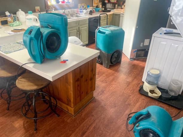 Best Water damage contractors near me  in Clinton, TN