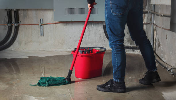 Best Flood restoration services  in Clinton, TN